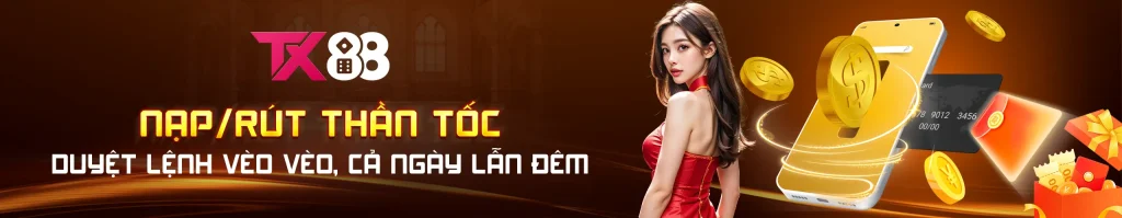 banner tx88 2