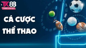 Giới thiệu sảnh cá cược thể thao TX88
