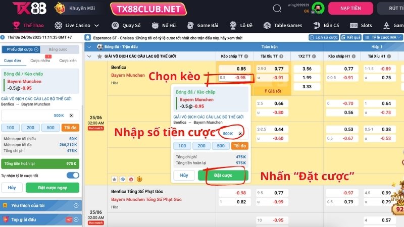 Hướng dẫn cá cược thể thao TX88
